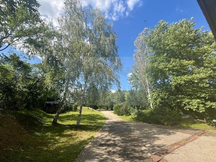 Reședință exclusivistă cu deschidere la Lacul Scroviștea - 5