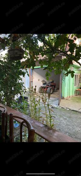Vand casa cu teren de 18 arii in Sanpetru Almasului - 7