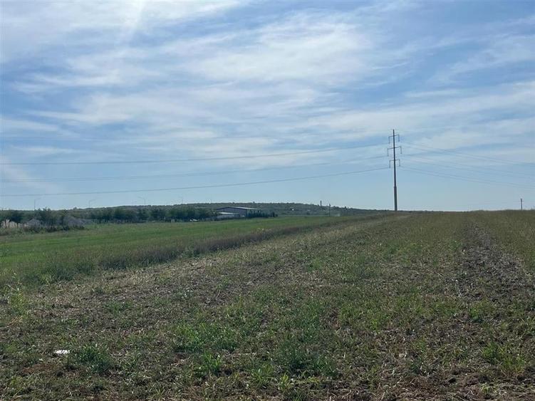 RECO Teren intravilan  industrial 6502 mp -FRONT 74 ML -centura Biharia - 4