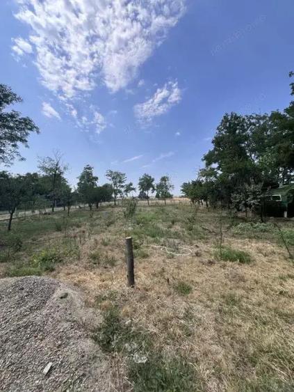 Casa de vacanta - Munteni Buzau - Jutetul Ialomita - Curte 2000mp - 13