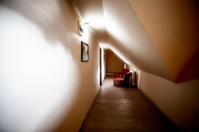 Vanzare Vila Panseluta - Pensiune/Vila turistica deosebita Pucioasa - 7