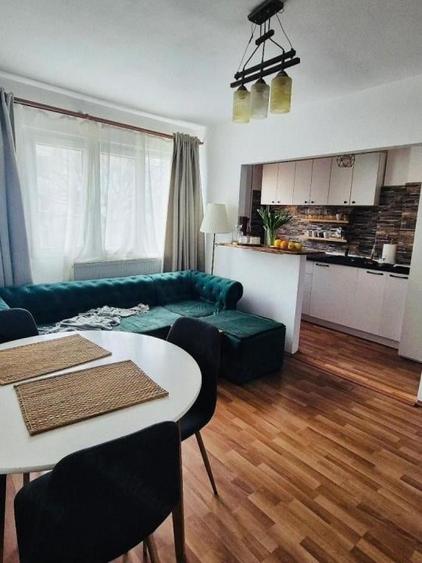 79990 euro -2 camere -Dristor- Centrala proprie- etaj 2 din 4 - 1