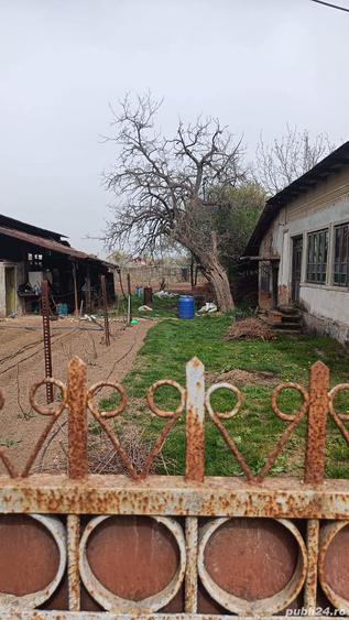 Vand Casa cu teren la COSOVENI, DOLJ - 2