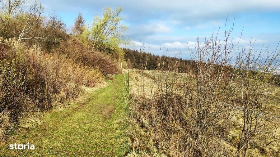 Teren intravilan de 2504 mp, font 21 m, panorama deosebita, Feleac - 9