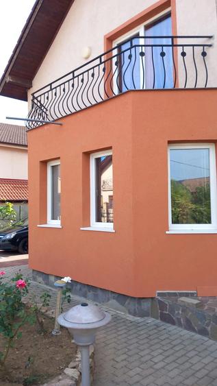 Vand casa in paleu - 3