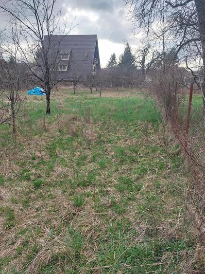 Teren ultracentral - 2