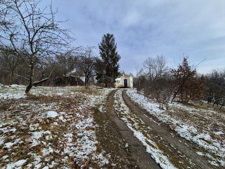 Moșia boierească din vârf de deal, Scorțeni - Prahova, comision 0% - 20