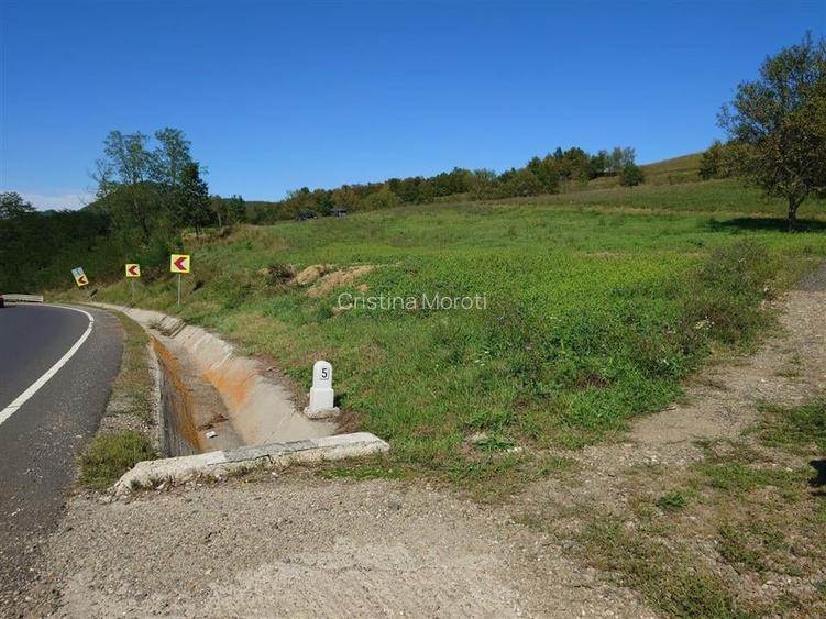 Teren intravilan 8757 mp cu potential turistic si acces direct la E79