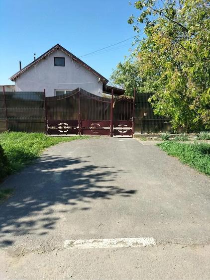 Vand Casa Satchinez - 1