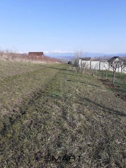 Teren intravilan Sura Mare 550mp - 1