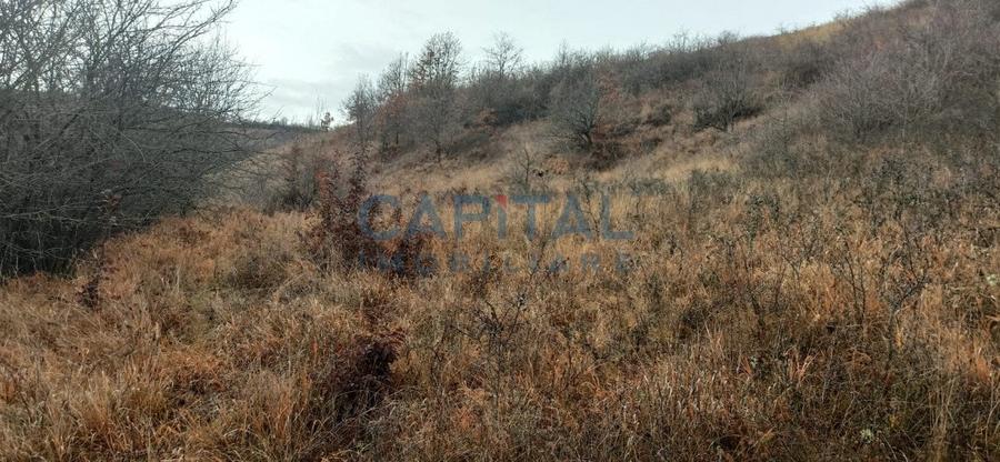 COMISION 0 LA CUMPARARE !! Teren de vanzare in Savadisla ! - 9