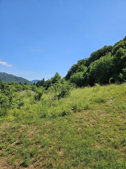 Teren intravilan Sovata Bai 3533 mp - 6