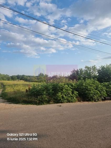 Se vinde teren 2150 mp in Teisori Giurgiu - 7