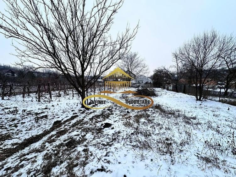 De vanzare casa Magura Bacau - 10