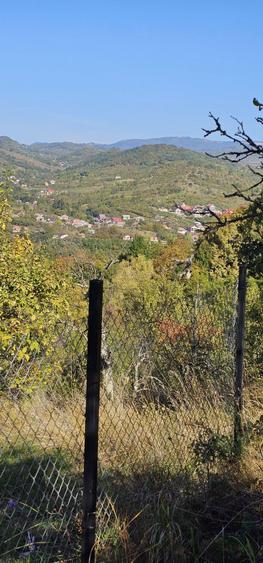 Teren de vanzare In Berislavesti - Calimanesti 4000mp - 2