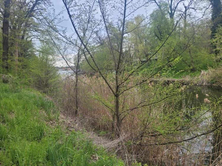 SUPER  OCAZIE TEREN 4000MP DE VANZARE IN SNAGOV CU DESCHIDERE LA LACUL SNAGOV - 15