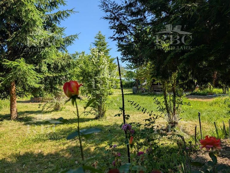 Teren pentru constructie casa in Faget - 2