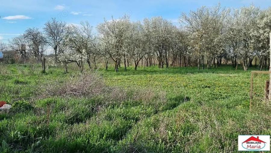 Casa cu teren 14,40 ari in Corod-Culciu jud Satu Mare - 10