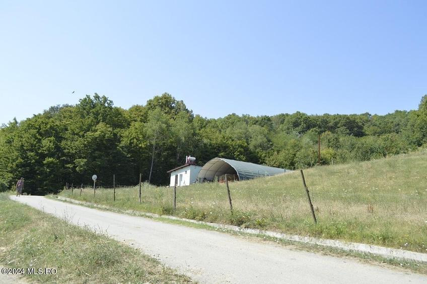 Bogati - Glimbocel, ferma zoo, cladiri autorizate DSV, teren 8766 mp! - 17