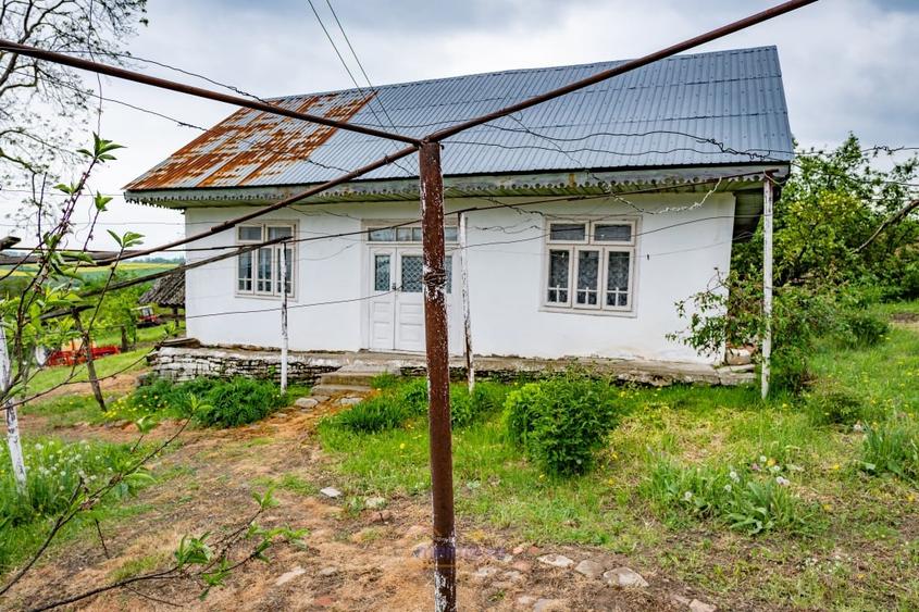 Casa in Ardeoani, 1.3ha teren - 11