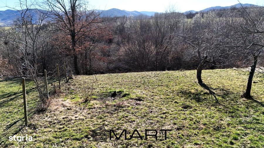 Teren intravilan 1000mp Tropinii Noi - 5