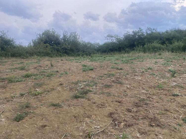 Teren watman 1500 m2 - 1