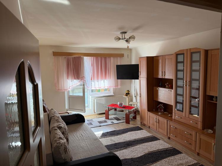 Inchiriez Apartment 2 camere Ludus Arizona - 5