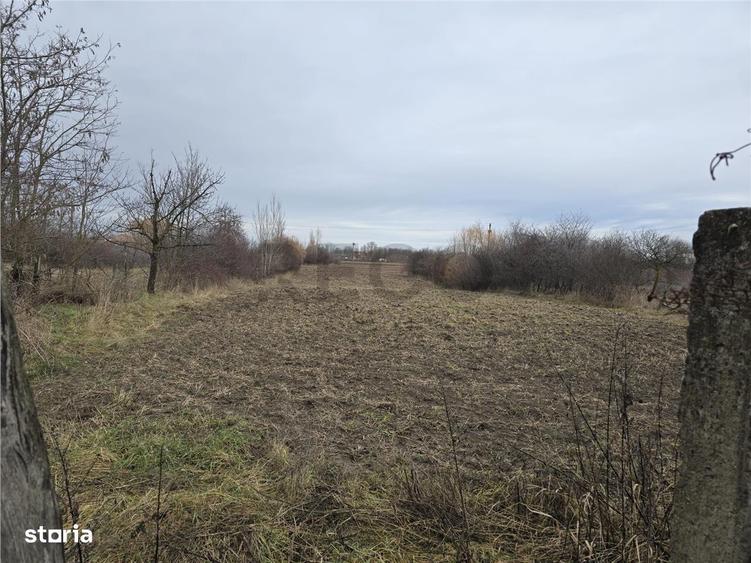 RECO Casa in Boiu - 10