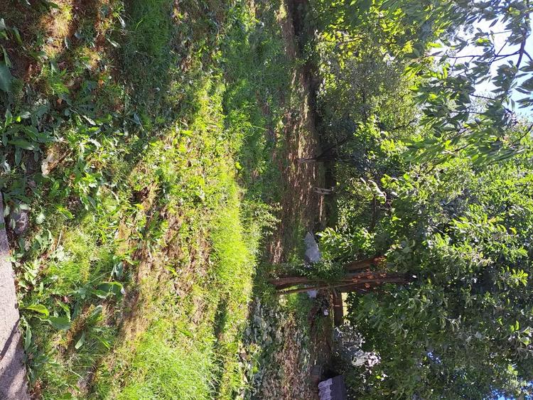 Casa-Vila ultrafinisata in regim D+P+E cu toate utilitatile pe 900 mp,teren - 4