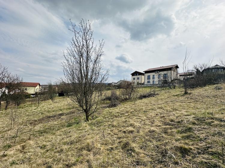 Comision 0% Oportunitate în Cartierul Europa | UTR Liu | Teren cu PUZ - 2