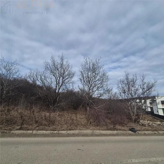 Teren intravilan de vanzare Sigmir, Str. Soarelui - 4