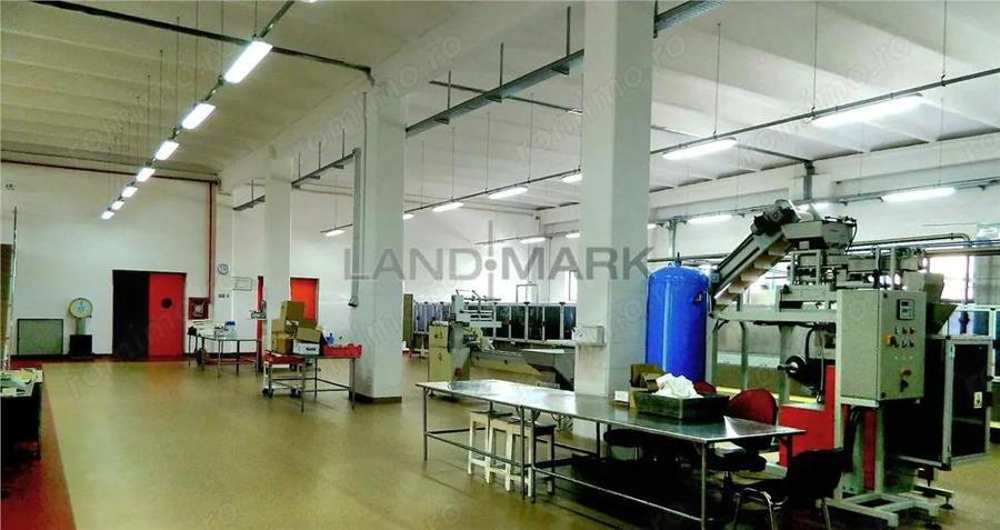 Hala industriala de vanzare, Timisoara Nord Vest - 4