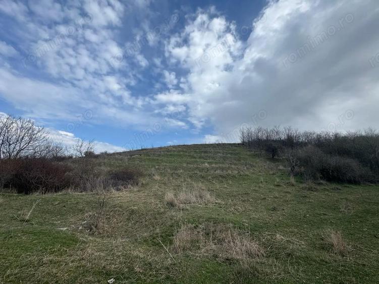 Teren 10233 mp extravilan Episcopia Oradea - 1