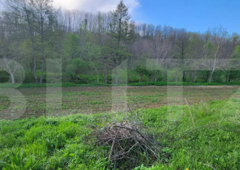 Teren 6650 mp, cu casa nefinalizata de 111 mp, in Nisipoasa - 11