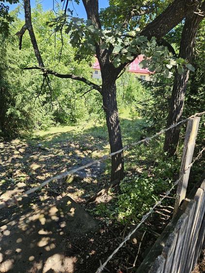 De vanzare casa si teren in Praid - 3