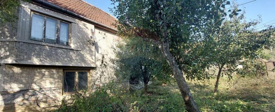 Casa individuala cu teren generos - 6