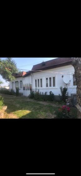 Casa de vanzare cu vie - 2