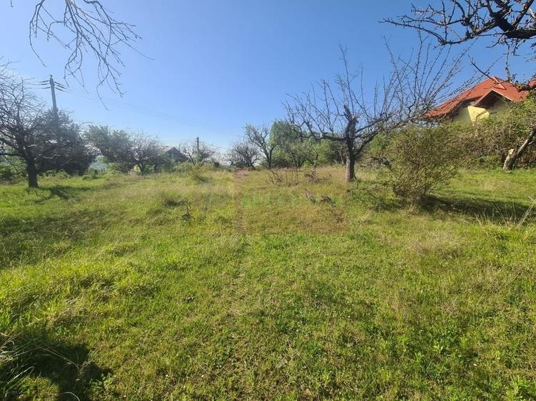 Teren de vanzare in Campina in zona retrasa - 2