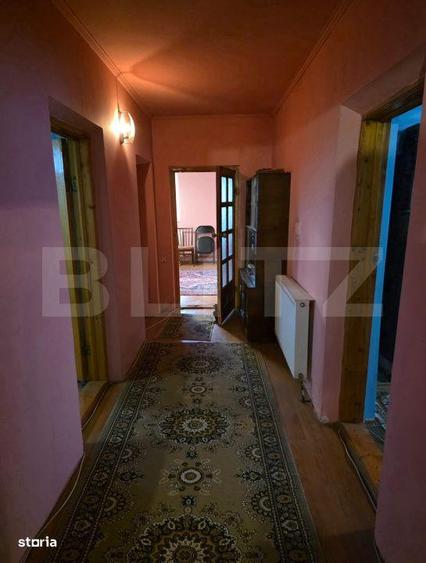 Casa cu teren generos si balta de pescuit Gaesti - 2