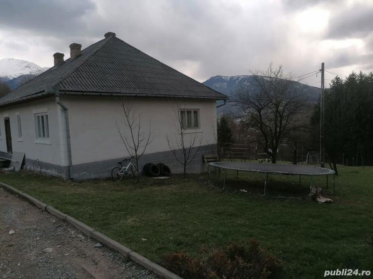 Casa si teren, Moisei - 8