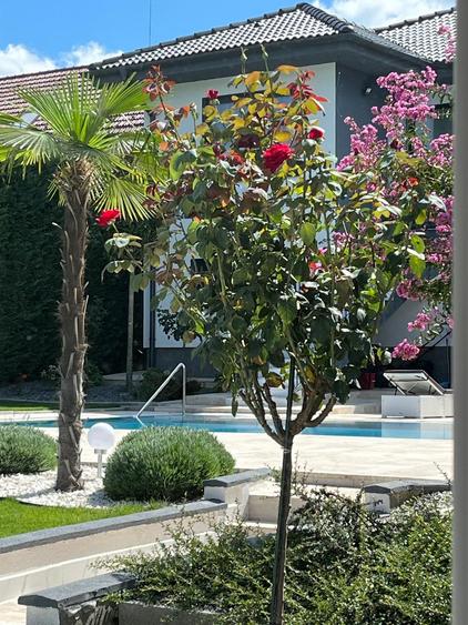 Vilă cu 7 camere, P+E, Piscină, 1102mp teren, Dealuri, Oradea. - 16