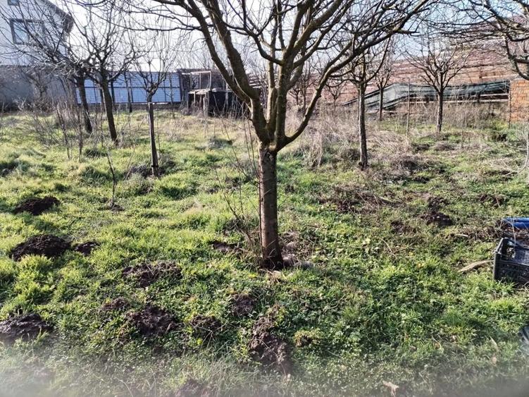 Apartament cu 6 camere în Vidra