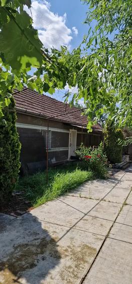 Casa si teren ideal pentru legumicultura - 2