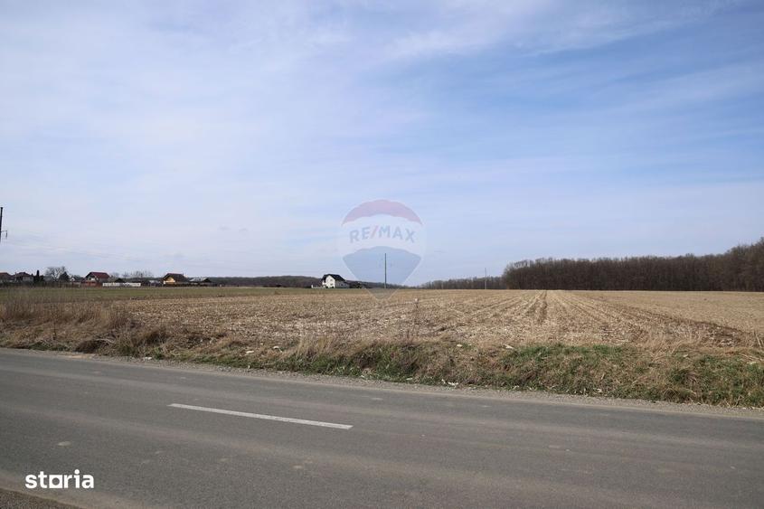 Teren 9,740mp Suceava / Strada Principala - 5