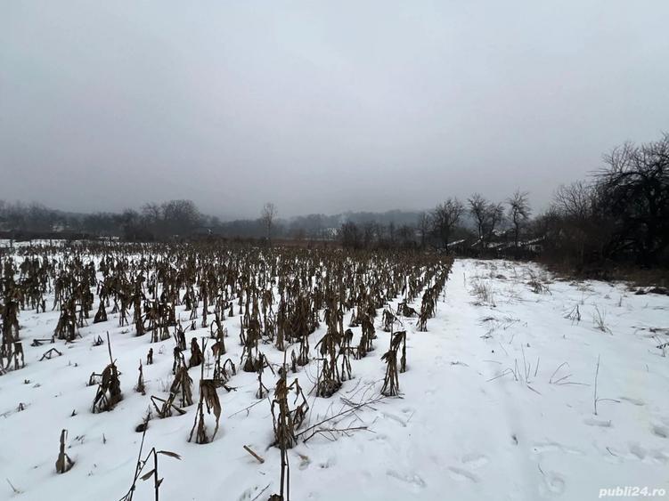 Vand casa+teren 4400m2 in Polovragi - 4