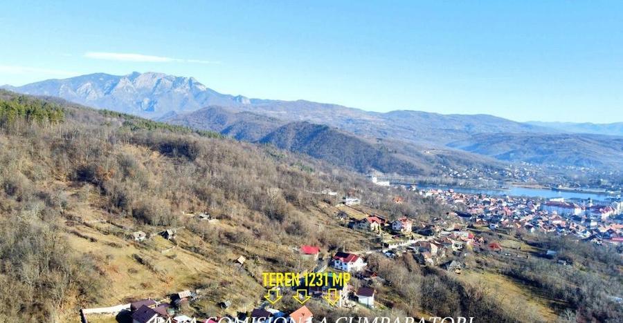 CALIMANESTI, TEREN 1231 MP - 8