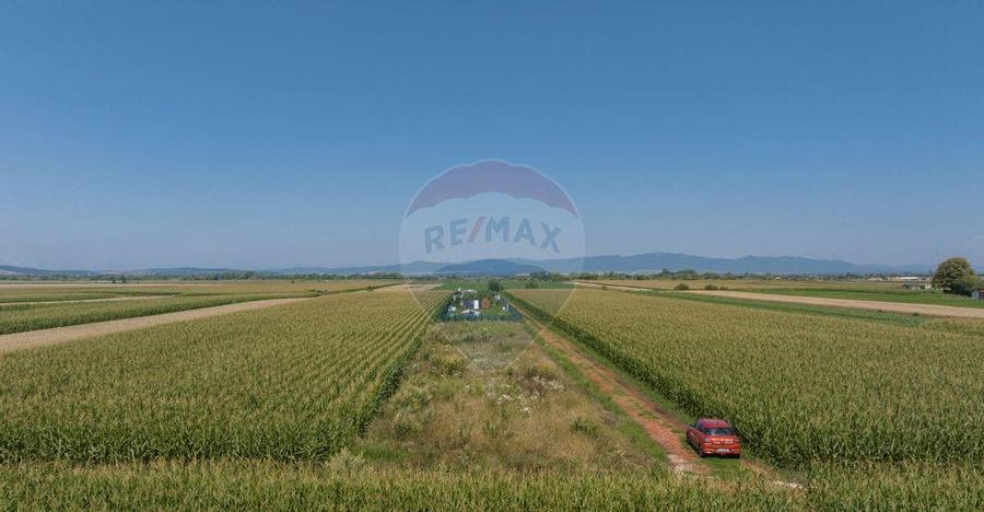 Teren de 1100 mp de vanzare in Stupini - 9