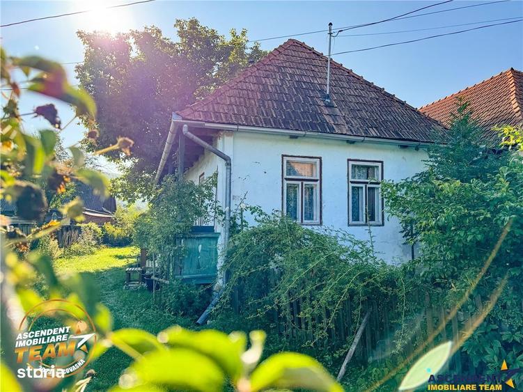 FILM! Proprietate traditionala,de poveste,cu 3.000 mp teren intravilan - 13