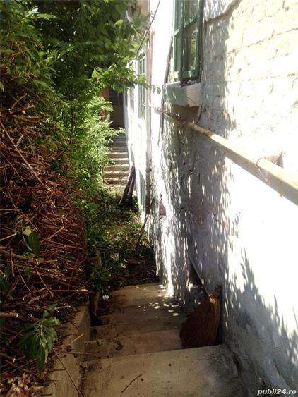 Vand casa Slatina - 3