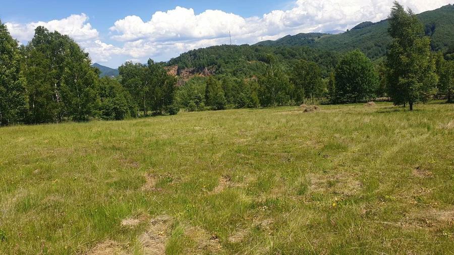 2 Terenuri extravilane Banita - 1